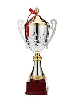 Buy TA Sports 704B Trophy Cup in UAE