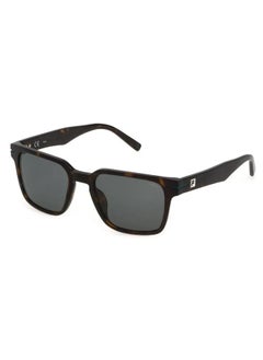 Buy Men's Square Shape  Acetate Sunglasses SFI209 53722Y - Lens Size: 53 Mm - Shiny Dark Havana in UAE