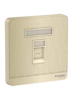 Buy Schneider Electric AvatarOn, telephone socket, metal gold hairline (Model Number-E8331RJS4_GH) in UAE