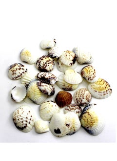 اشتري Shell Decoration - 100g in Multicolor Packet في الامارات