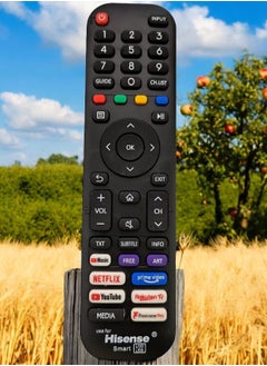 Buy Universal TV Remote Control For Hisense LCD LED TV With Netflix YouTube Prime Video Rakuten Compatible For Hisense Latest LED LCD TV in Saudi Arabia