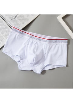 Buy Student Youth Mid - Waist Cotton Boxers Solid Color White in Saudi Arabia