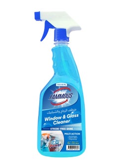 Buy Fammous Shine Glass Cleaner Spray Trigger for window 800ML in UAE