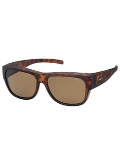 Buy Rectangular / Square Ancillaries Sunglasses PLD 9003/S  TR HAVANA 58 in Saudi Arabia