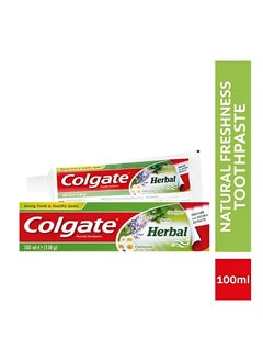 Buy Herbal Toothpaste - Enriched with Natural Extracts - Strong & Healthy Gums  - With the Goodness of Eucalyptus, Myrrh, Sage, Chamomile  - 100 ml in UAE