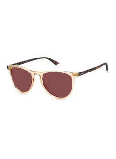 اشتري Women's Polarized Oval Sunglasses - Pld 4152/S Beige Millimeter - Lens Size: 54 Mm في الامارات