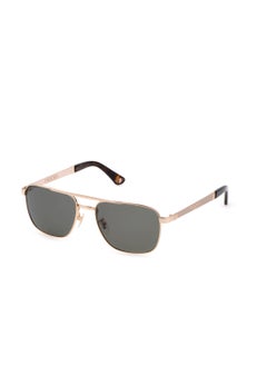 Buy Men's Navigator Shape Polarized Metal Sunglasses SPL890V55349P - Lens Size: 55 Mm - Shiny Rose Gold With Sandblast in UAE