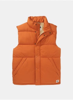 Buy AE Big Puffer Vest in Egypt