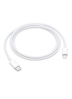 Buy iPhone USB-C to Lightning Cable 1m in Saudi Arabia