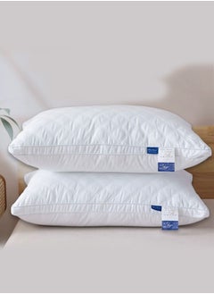 Buy 2-Piece Slowly Rebounding Memory Hotel Pillow Cotton White 48x75cm in UAE