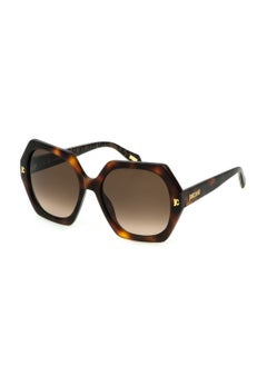 Buy Women's Acetate Sunglasses SJC087 560752 - Lens Size: 56 Mm - Shiny Dark Havana in Saudi Arabia