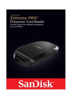 Buy Extreme Pro CFexpress Card Reader - SDDR-F451-ANGNN Black in UAE