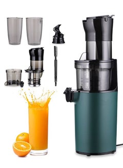 Buy INKBIRD Electric Juicer Fruits Cold Press Squeezer Vegetable Processor Slow Masticating Juicer Machine 200W for Celery Carrot Slow Juicer Machine with Chute and 800ml Juice Cup BPA-Free Easy to Clean in UAE