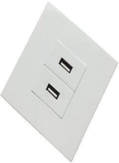 اشتري Face Plate for Home and Office. (2-PORT-USB) في الامارات