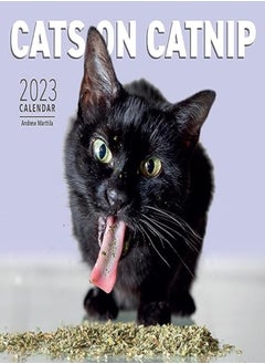 اشتري Cats On Catnip Wall Calendar 2023 A Year Of Cats Living The High Life And Feeling Niiiiice by Marttila, Andrew - Workman Calendars Paperback في الامارات