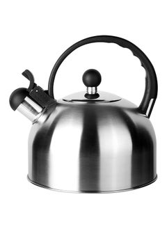 Buy Home Pro Tea Pot, 3L Stainless Steel in UAE