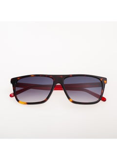 Buy Men's Square Sunglasses - PJ7401 - Lens Size: 58 Mm in Saudi Arabia