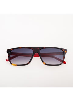 Buy Men's Square Sunglasses - PJ7401 - Lens Size: 58 Mm in Saudi Arabia