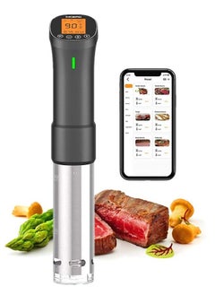 اشتري Inkbird Culinary Sous Vide ISV-200W Wi-Fi Precision Cooker Immersion Circulator with Stainless Steel Components في الامارات