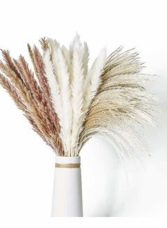 Buy Dried Pampas Grass 60 Pcs Boho Natural Flowers Arrangements White Reed Bunny Tails for Home Decor Flower Living Room Balcony Wedding Party in UAE