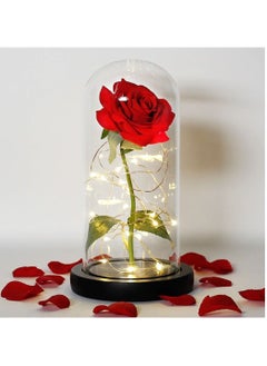 اشتري Forever Rose, Forever Glass Dome Rose, Romantic and Meaningful Led Preserved Rose في الامارات