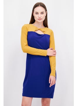 Buy Women Colorblock Sheath Dress, Blue/Gold in UAE