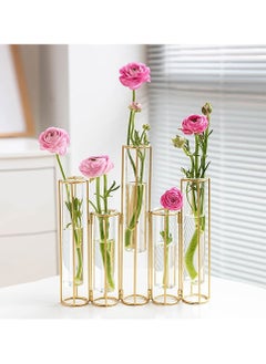 Buy Test Tube Vase for Flowers Glass Vase with Metal Stand Racks Hydroponic Test Tube Vase Set of 5 Golden Plated Metal Frame Plant Vases Set Table Vase for Home Decor in UAE