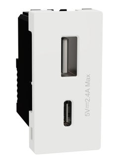 Buy Schneider Electric USB Type A+C, Miluz E, 2 Port, 2.4A, 12W, 1 Module, White in Egypt