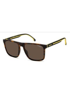 Buy Men's UV Protection Rectangular Sunglasses - CARRERA 8064/S BROWN 57 Lens Size: 57 Mm Brown in Saudi Arabia