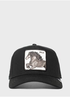 Buy Wild Stallion Curved Peak Caps in UAE