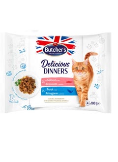 Buy Chicken and Turkey Flavor Cat Food, 4 Sachets 100g, 2 Sachets Chicken and 2 Sachets Chicken and Turkey in Delicious and Nutritious Jelly. in Saudi Arabia