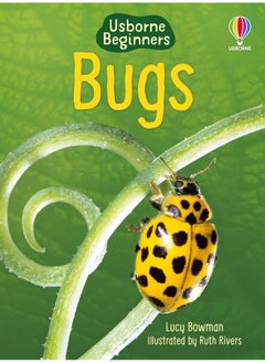 Buy Bugs in UAE