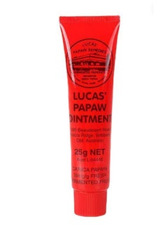 Buy Papaw Ointment Lip Applicator 25grams in UAE