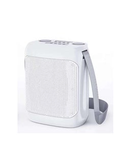 Buy YS-220 Outdoor Karaoke Speaker Big Strap Speaker With Dual UHF Wireless Microphone in UAE