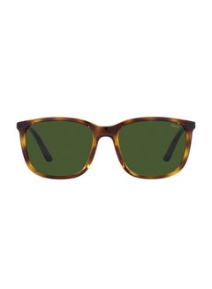 Buy Full Rim Square Sunglasses 4185U-56-5003-71 in Egypt