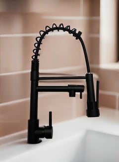 Buy Faucet Kitchen Kitchen faucet with shower 360° swivel Mixer tap Spiral spring faucet Sink faucet Brushed spiral spring faucet black in Saudi Arabia