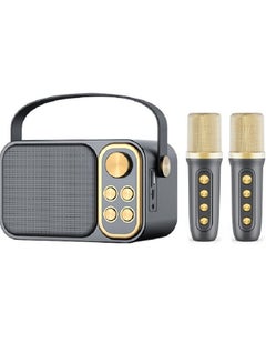 Buy YS-105 10W Rechargeable Dual Mic Microphone Karaoke Palm KTV Handheld Speaker Wireless Soundbox Black in Saudi Arabia