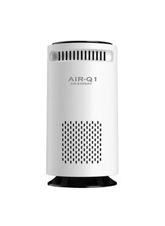 Buy Air Purifier for Bedroom Home with H13 HEPA Filter,Portable Air Ionizer Cleaner for Pets, Allergies, Dust, Mold, Pollen, Ozone Free in Saudi Arabia