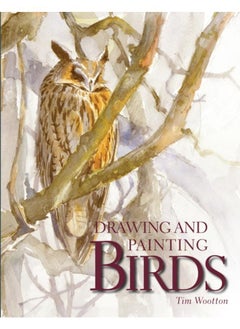 Buy Drawing and Painting Birds in UAE