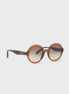 Buy Sf978S Round Sunglasses in Saudi Arabia