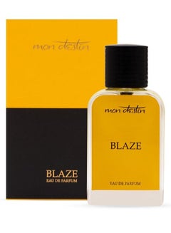 Buy Blaze Eau De Parfum By Mon Destin 100ML EDP For Men Inspired by Davidoff Silver Shadow in UAE