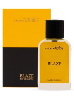 Buy Blaze Eau De Parfum By Mon Destin 100ML EDP For Men Inspired by Davidoff Silver Shadow in UAE