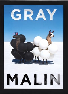 اشتري Gray Malin : The Essential Collection في السعودية