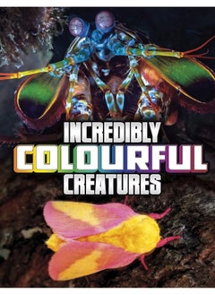 Buy Incredibly Colourful Creatures in UAE