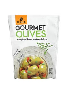 Buy Gourmet Olives, Handpicked Green Marinated Olives, 4.2 oz (120 g) in UAE