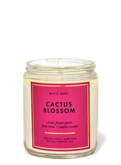 Buy Cactus Blossom Single Wick Candle in UAE