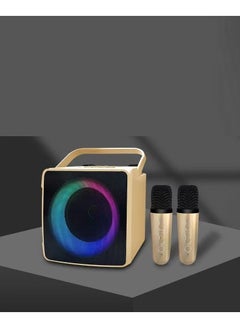 Buy SDRD Portable Karaoke Machine Wireless Bluetooth Speaker with 2 Microphones, SD-508 in UAE
