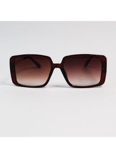 Buy a new collection of sunglasses  inspired by TOM FORD in Egypt