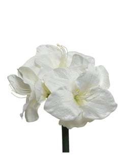 Buy Kaemingk Flower Amaryllis On Stem Polyester White, 1 Piece in UAE