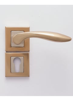 Buy Balina Rosetta Cylinder Door Handle in Egypt